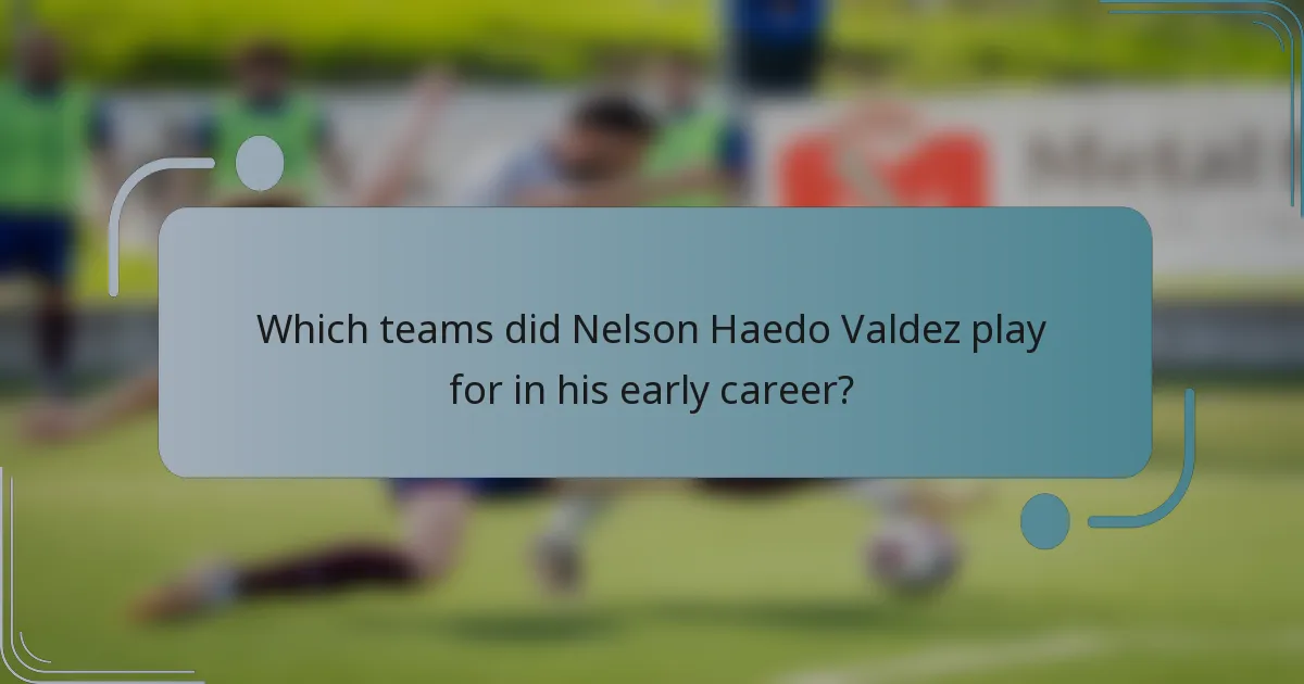 Which teams did Nelson Haedo Valdez play for in his early career?